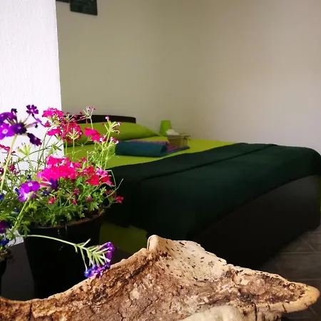 La Salamagna 索尔索