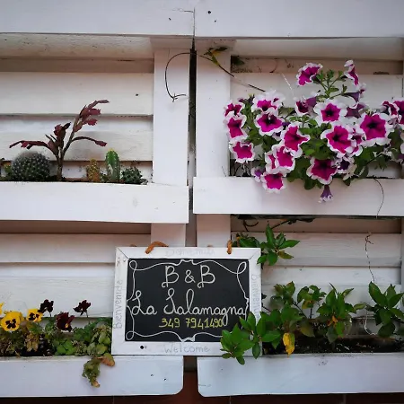 Bed & Breakfast La Salamagna